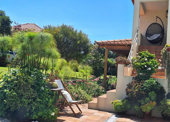 Minho At Oda ve Kahvaltı