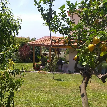 Minho At 维亚纳堡