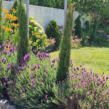 Minho At 住宿加早餐酒店