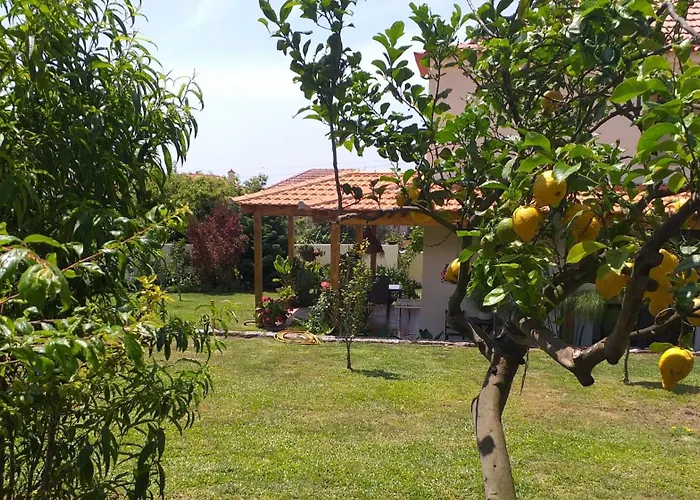 Minho At Viana do Castelo