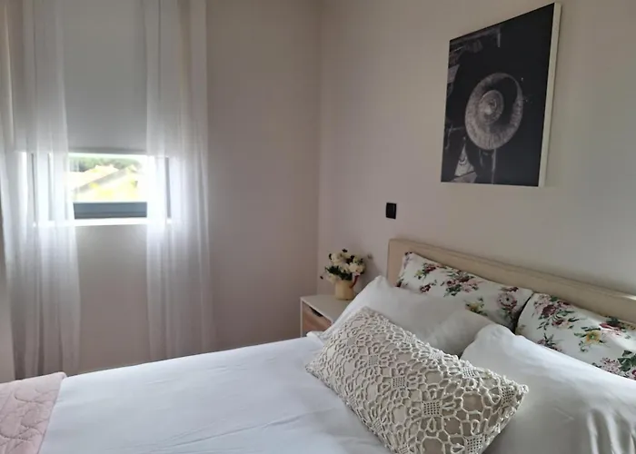 Minho At Viana do Castelo