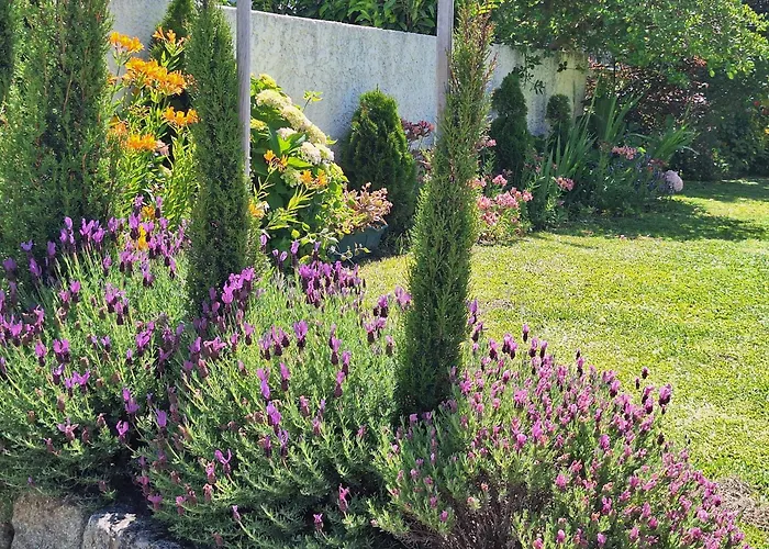 Minho At Alojamento de Acomodação e Pequeno-almoço